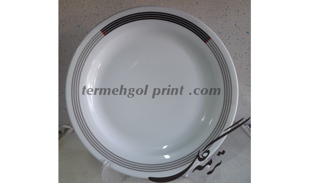 بشقاب بزرگ دایره وگاس کد972