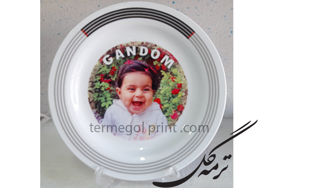 بشقاب کوچک دایره وگاس کد971
