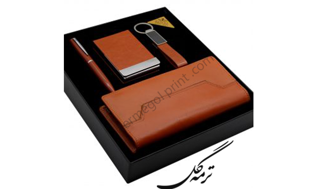 ست هدیه تبلیغاتی رویال 4تکه دلوین کد 48-1